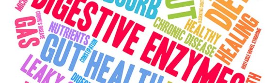 What Are Digestive Enzymes?